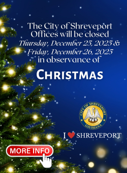 Christmas 2025 Web Banner